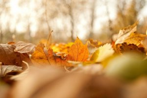 6310368342_3705c98165